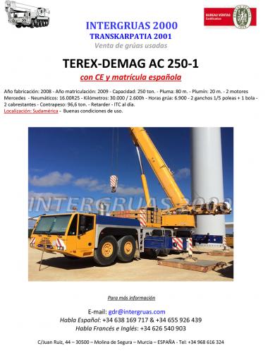En venta grua TEREX DEMAG AC 250/1 - Imagen 1