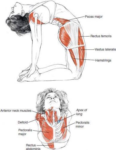 Terapia a base de masajes con Tecnicas Compue - Imagen 2