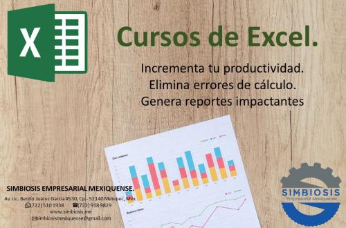 Cursos de Excel en Toluca  No importa el nive - Imagen 2