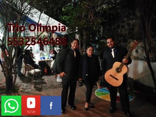 Servicio de trio musical en Naucalpan  El Tri - Imagen 1