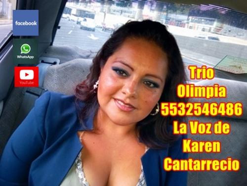 trio musical en Colonia Juarez CDMX  Ofrecemo - Imagen 1