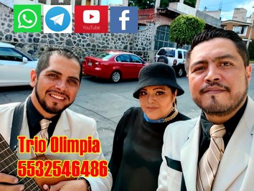 trio musical Ciudad de Mexico contrataciones  - Imagen 1