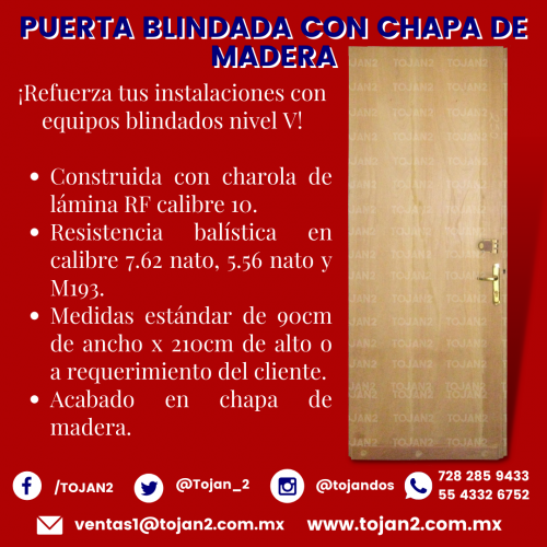 PUERTA BLINDADA CON CHAPA DE MADERA Refuerz - Imagen 1