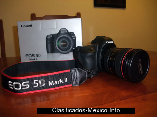 Canon EOS 5D Mark II with EF 24105 L IS USM  - Imagen 1